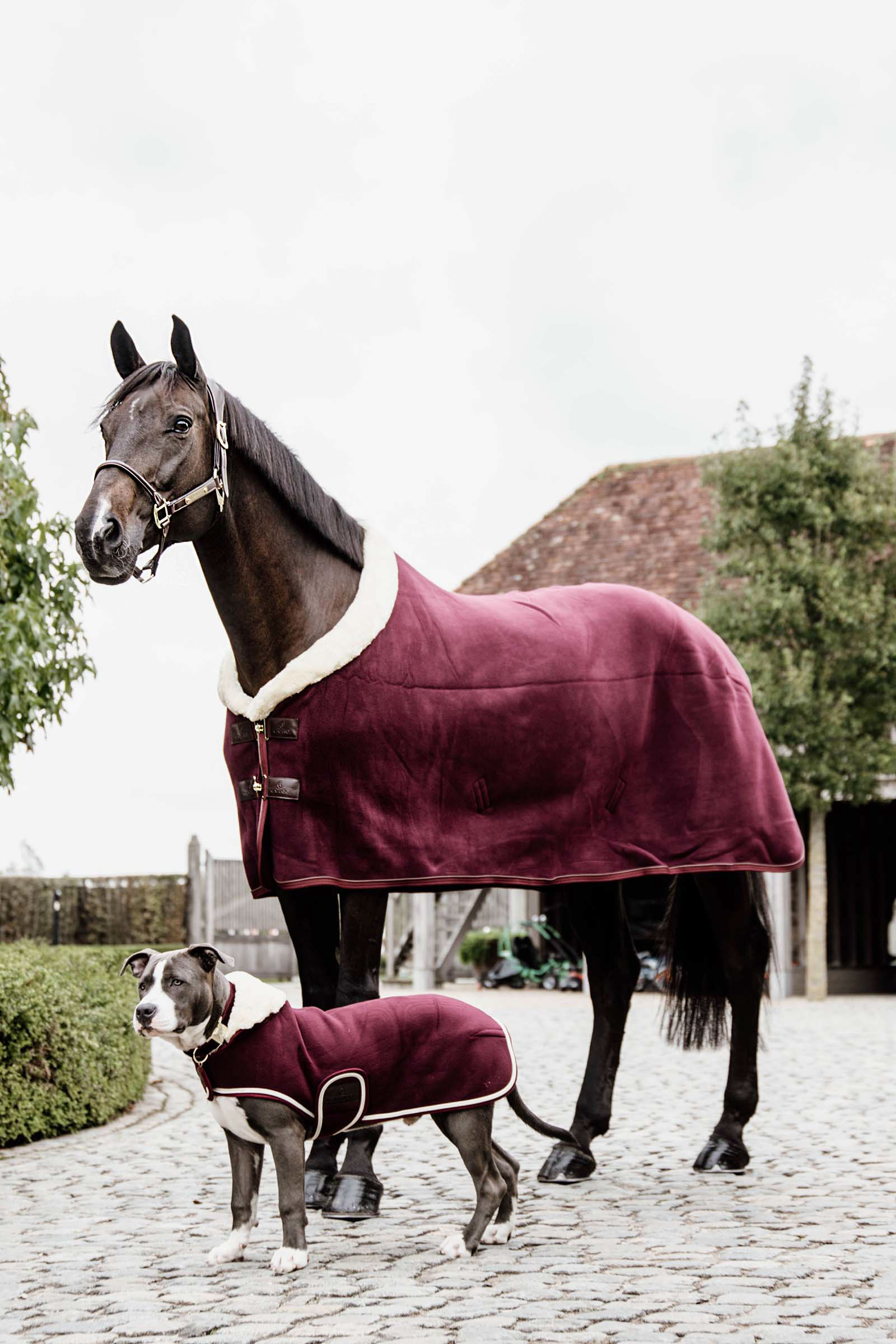 Kentucky Horsewear Fleece Heavy show-dækken