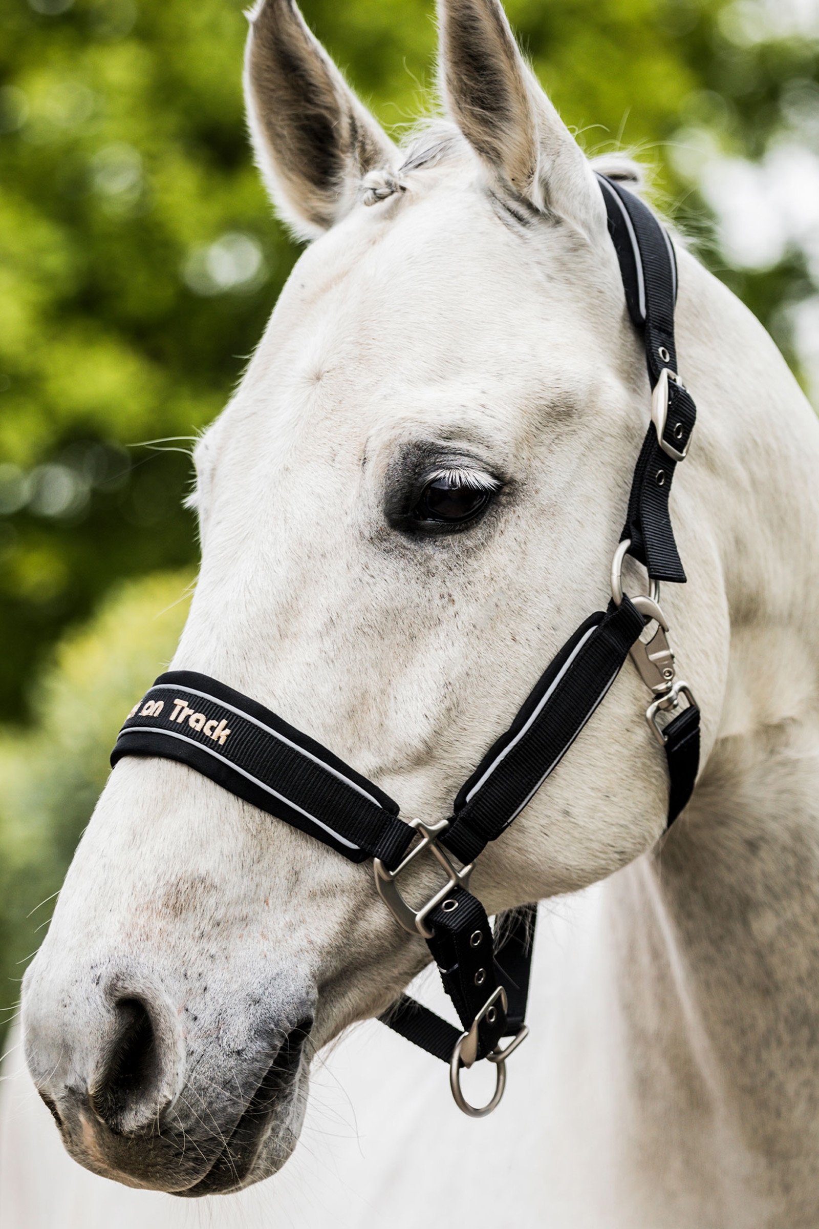 Back on Track Werano grime