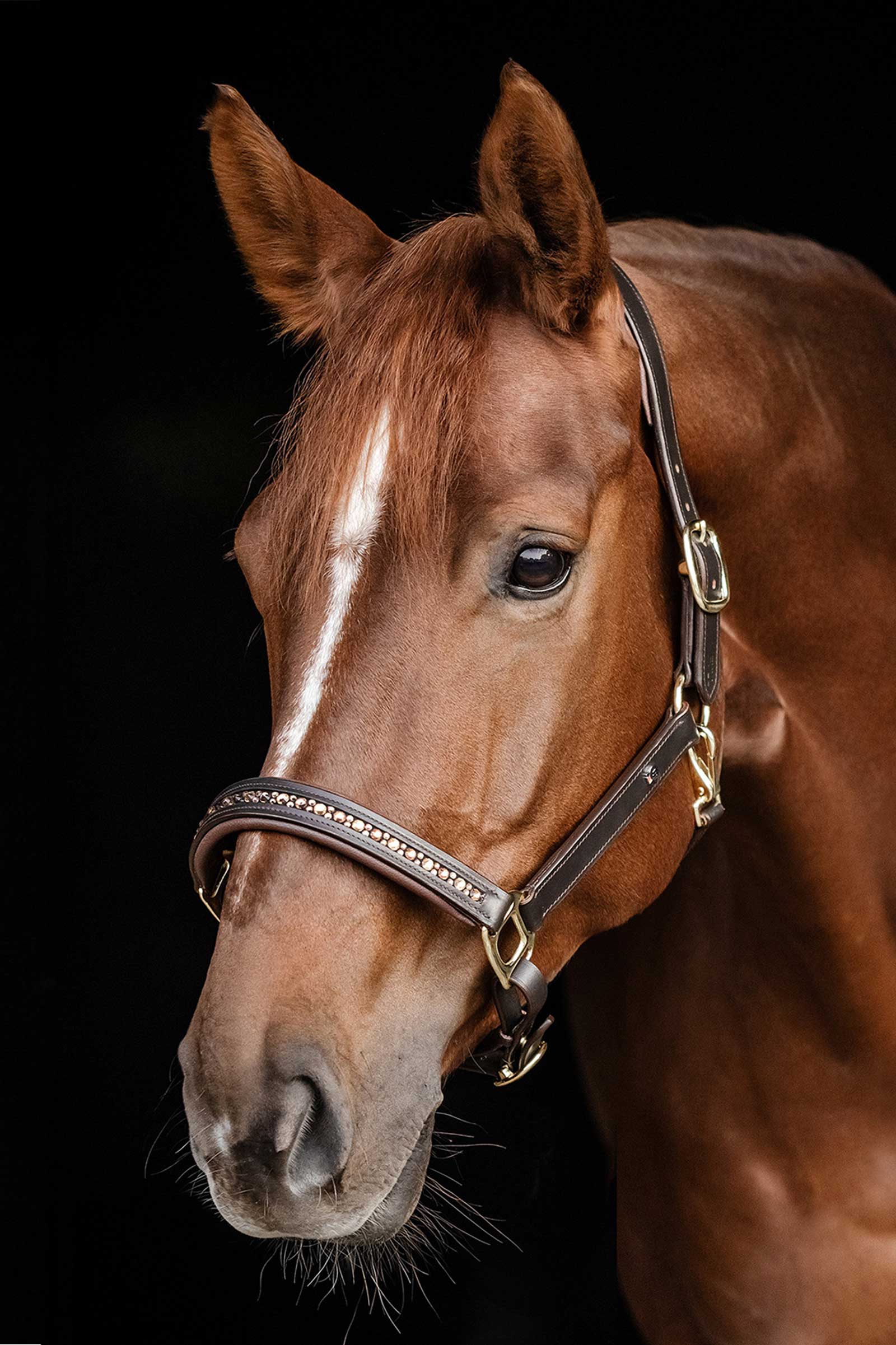 Waldhausen X-Line Crystal L&aelig;dergrime