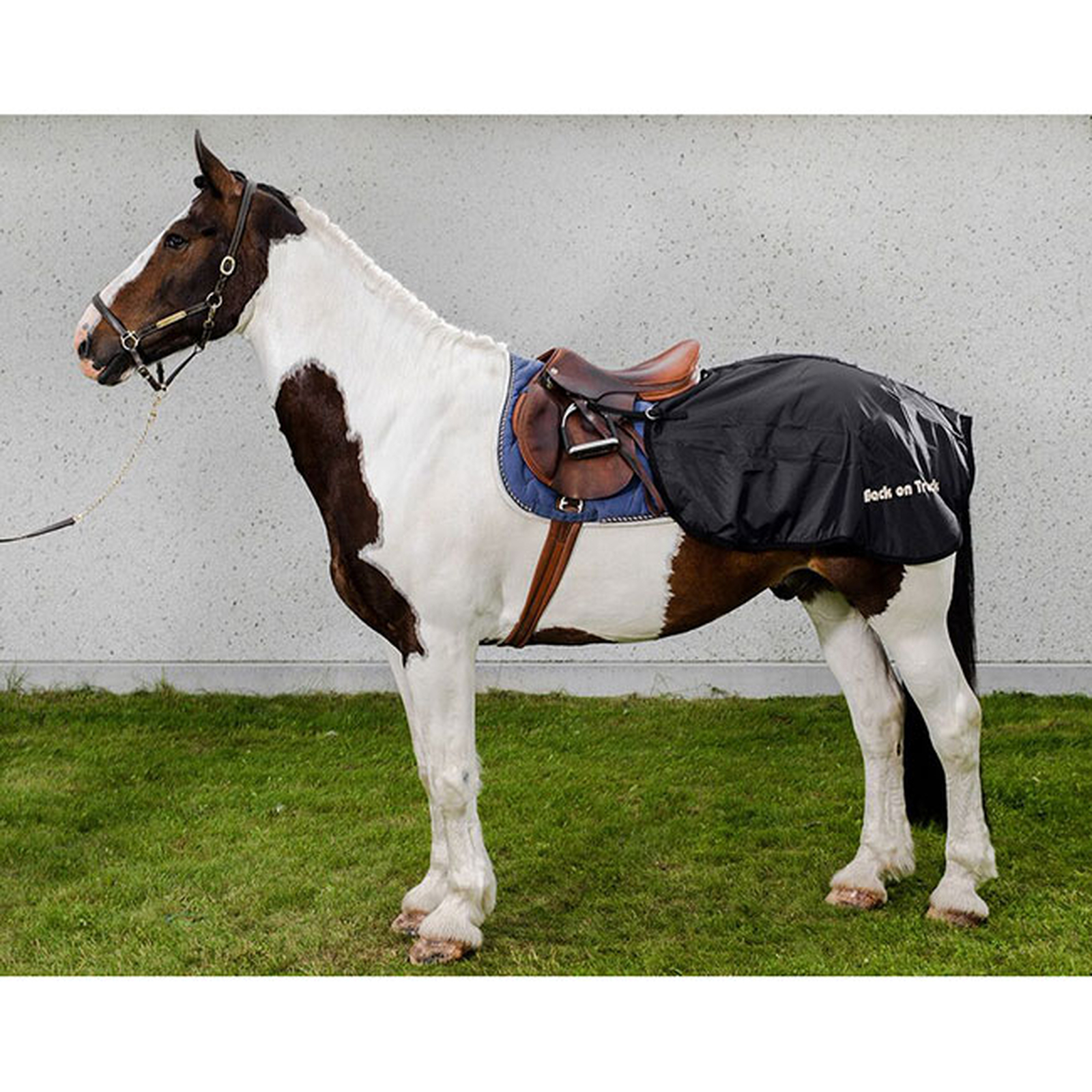 Back on Track nyred&aelig;kken