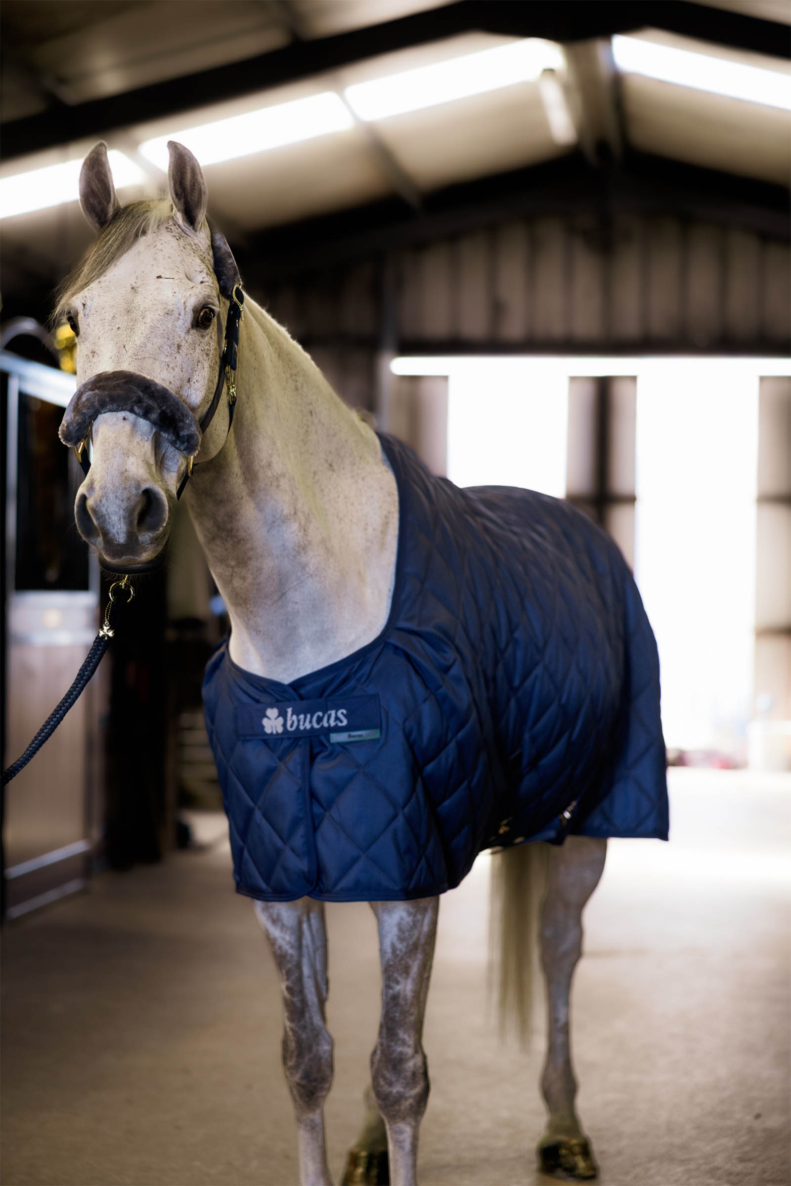 Bucas Hyggeligt Stabilt t&aelig;ppe