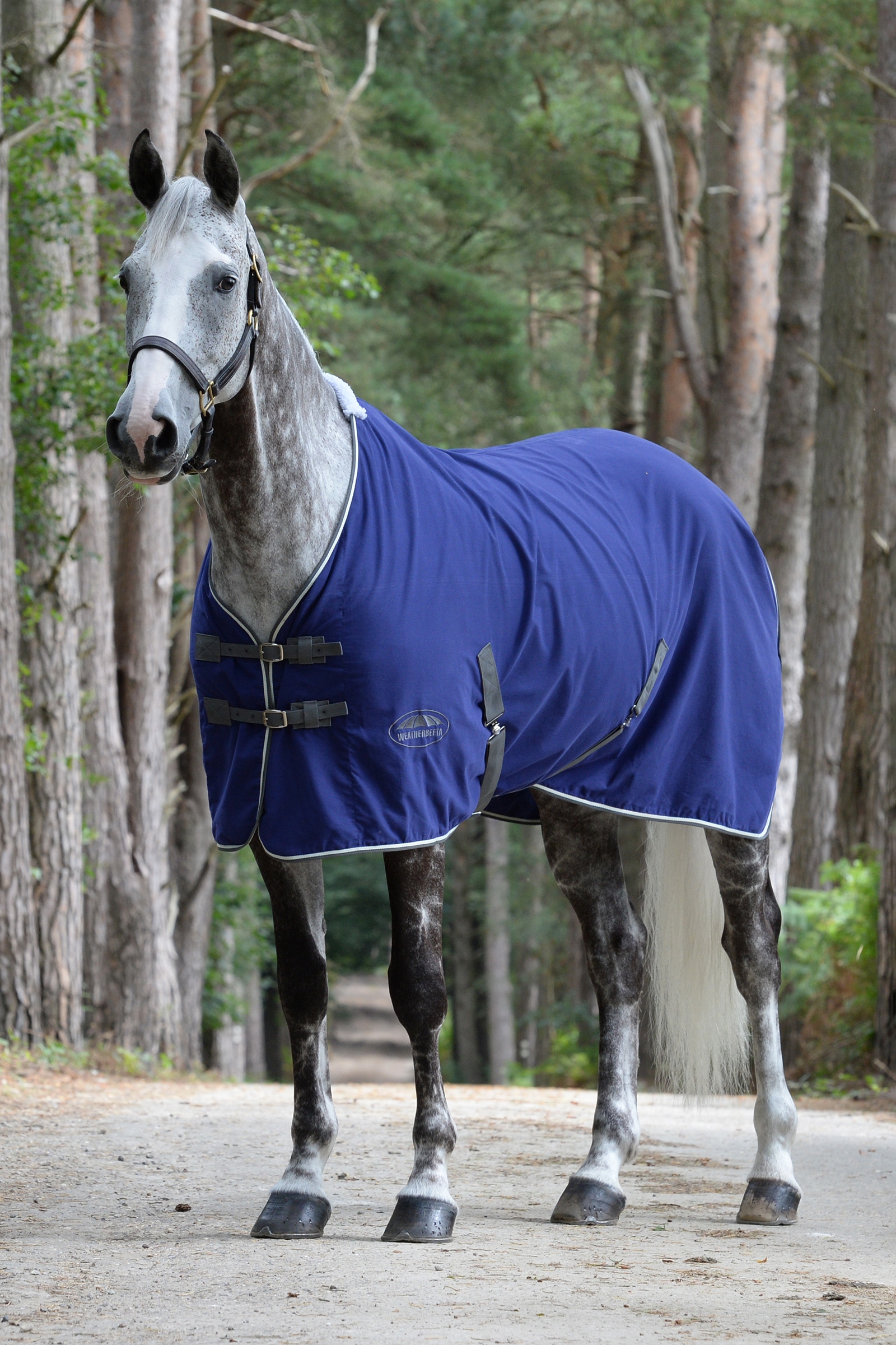 Weatherbeeta Cotton showd&aelig;kken