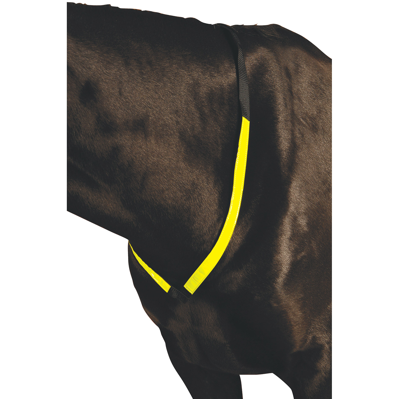 Roma refleks fortøj.