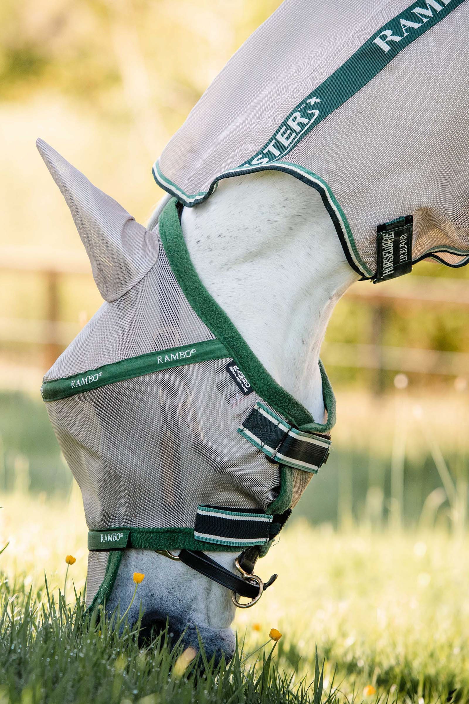 Horseware Rambo Plus fluemaske