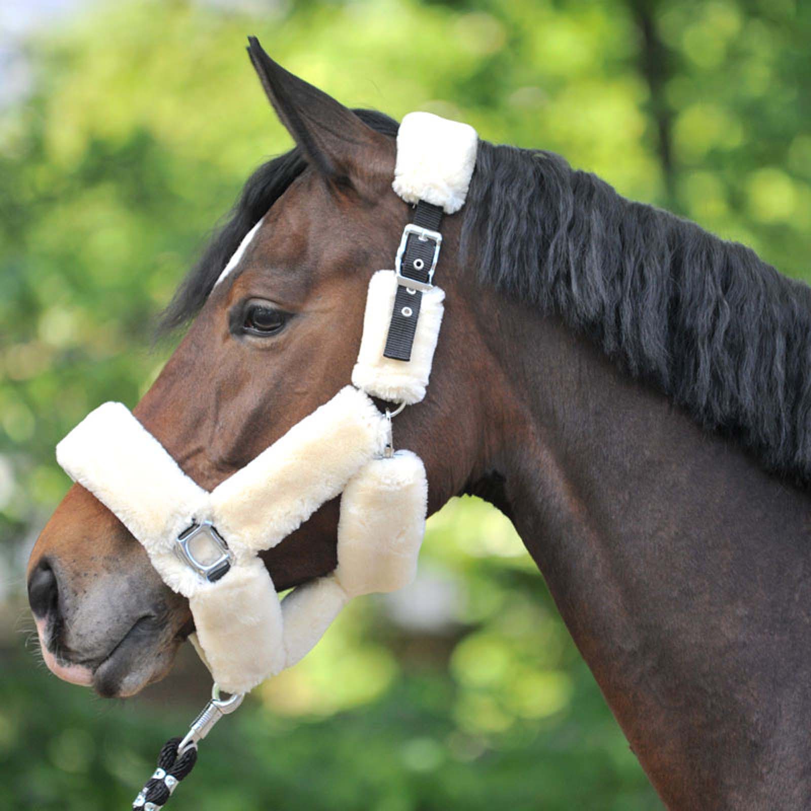 Kavalkade Transport Headcollar with Immitation Fur