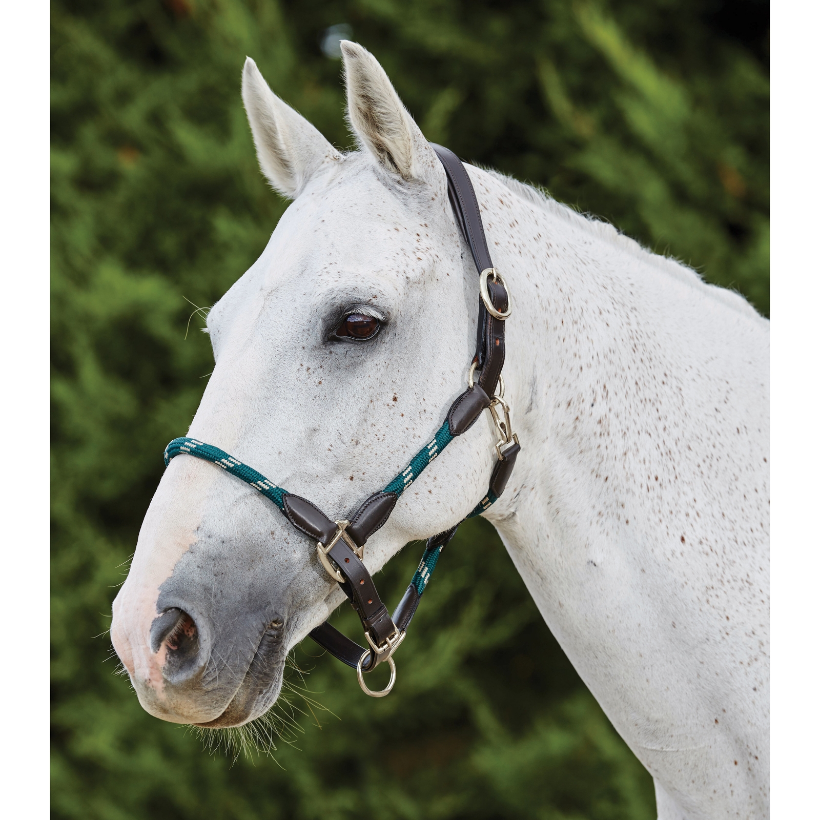 Hunter Green/Brown Kincade Grime af l&aelig;der og reb