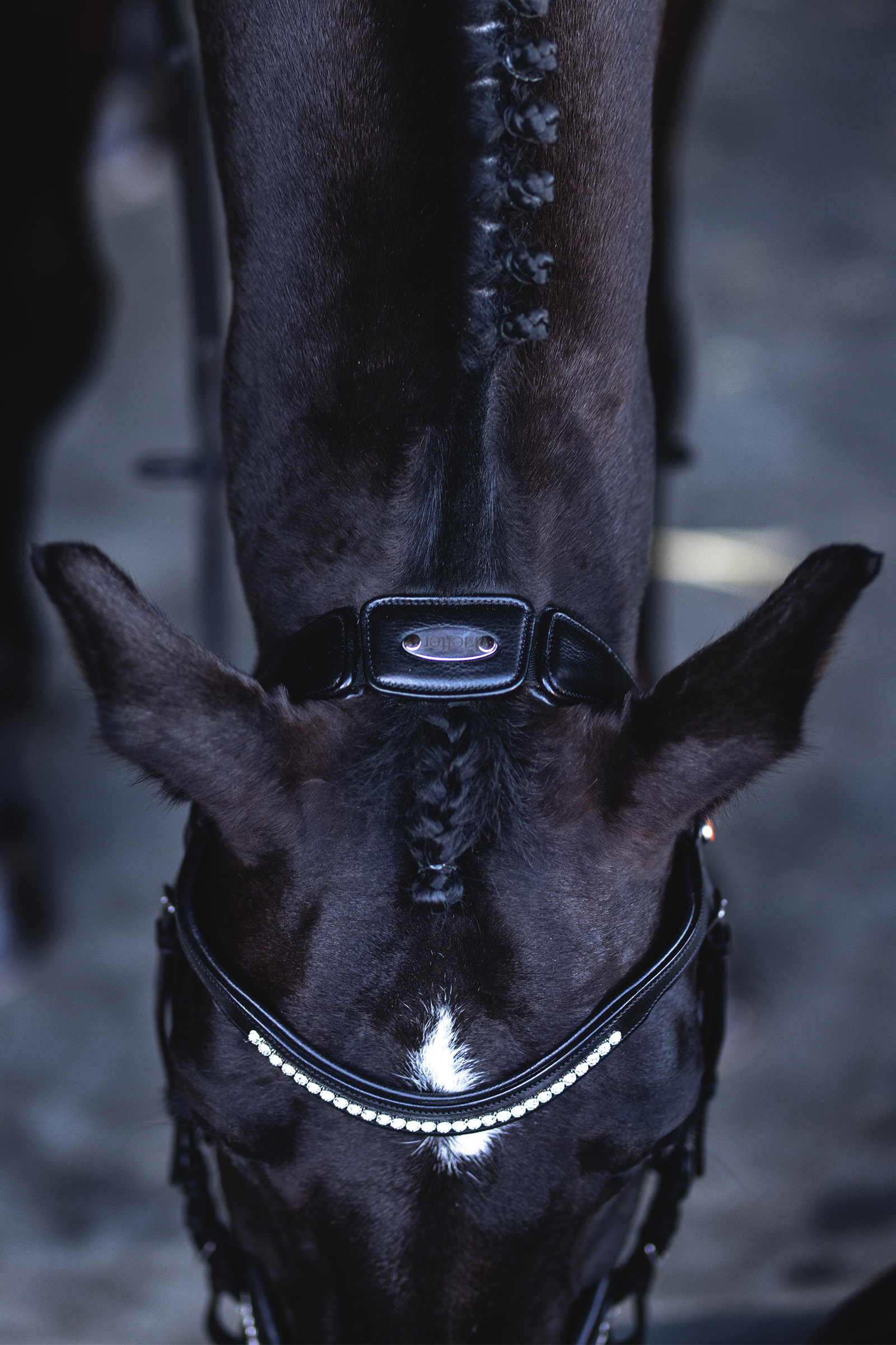 Kieffer Ultrasoft® Luna Snaffle Trense