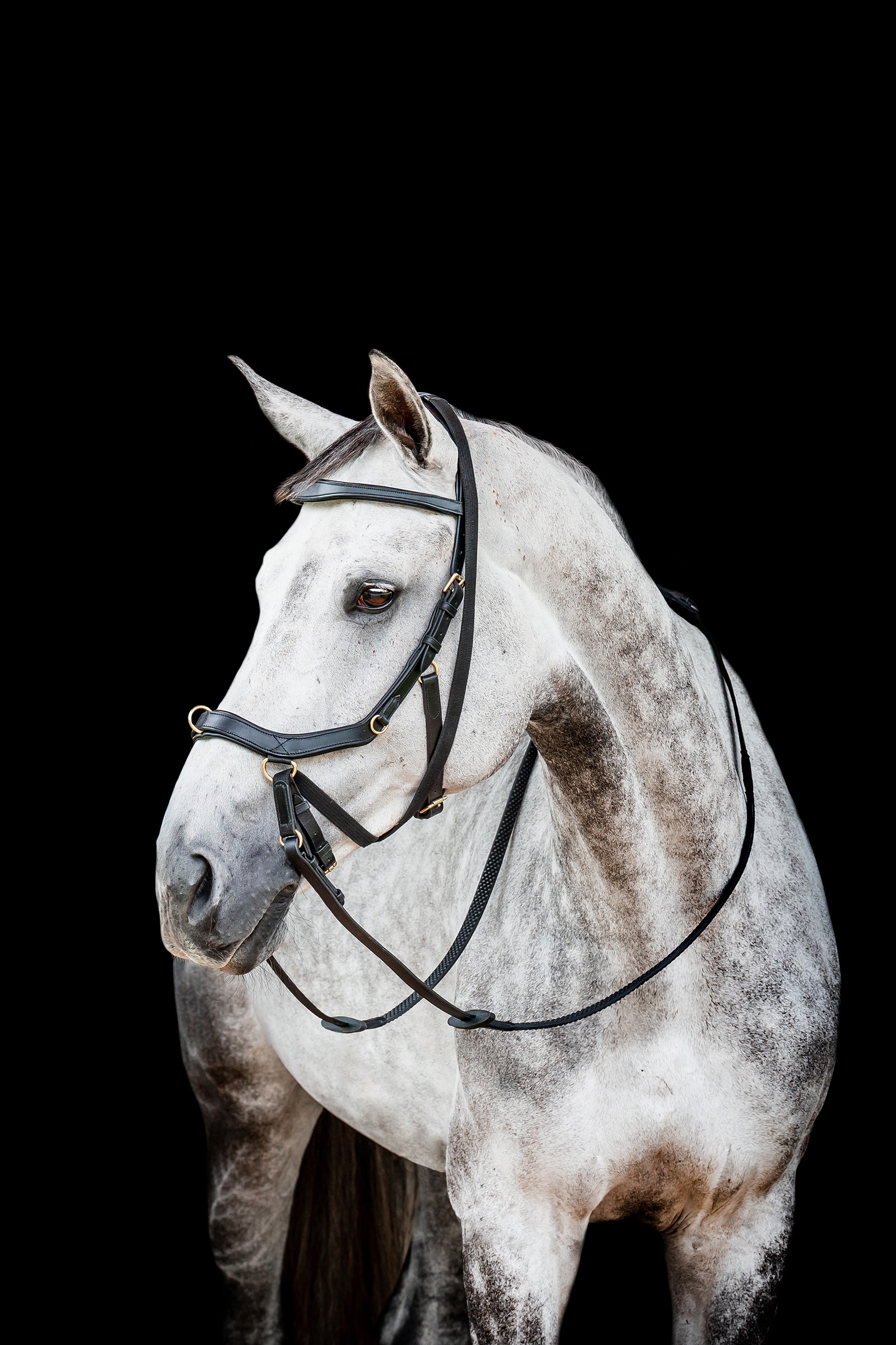 Horseware Micklem 2 Multi Trense