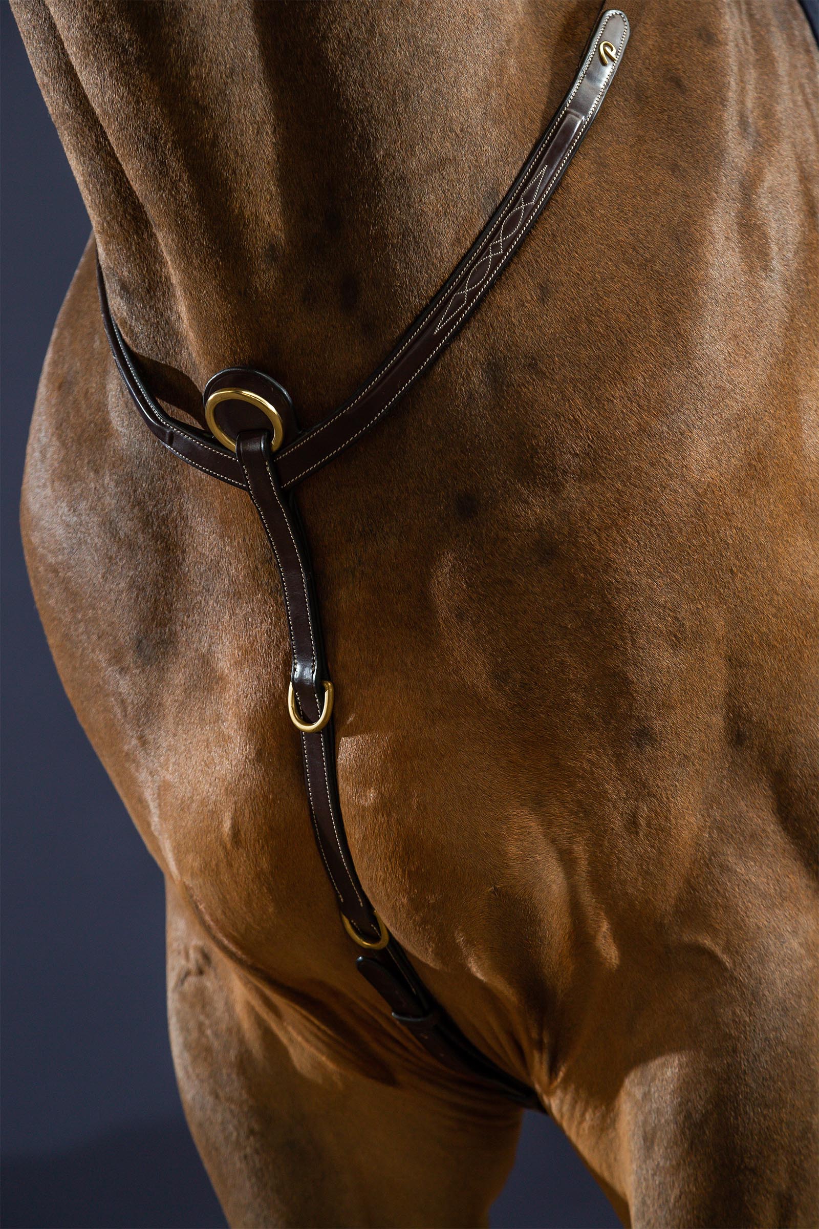 Dy'on D Collection fortøj med bro