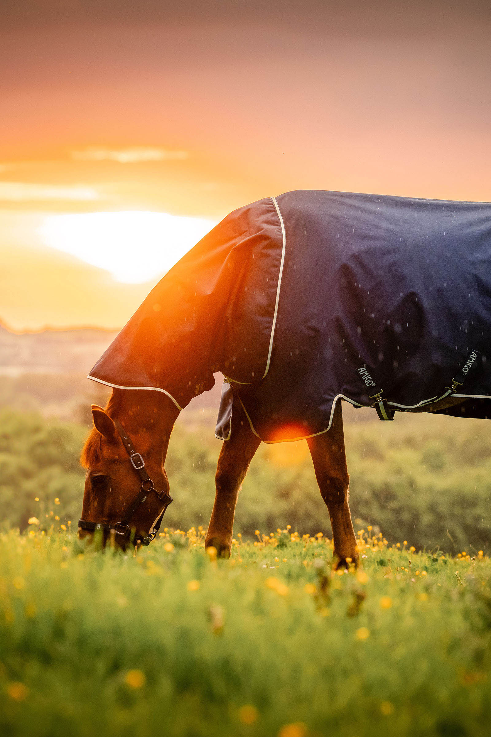 Witney Navy Horseware Amigo Ripstop 900D Plus udedækken, 200 g