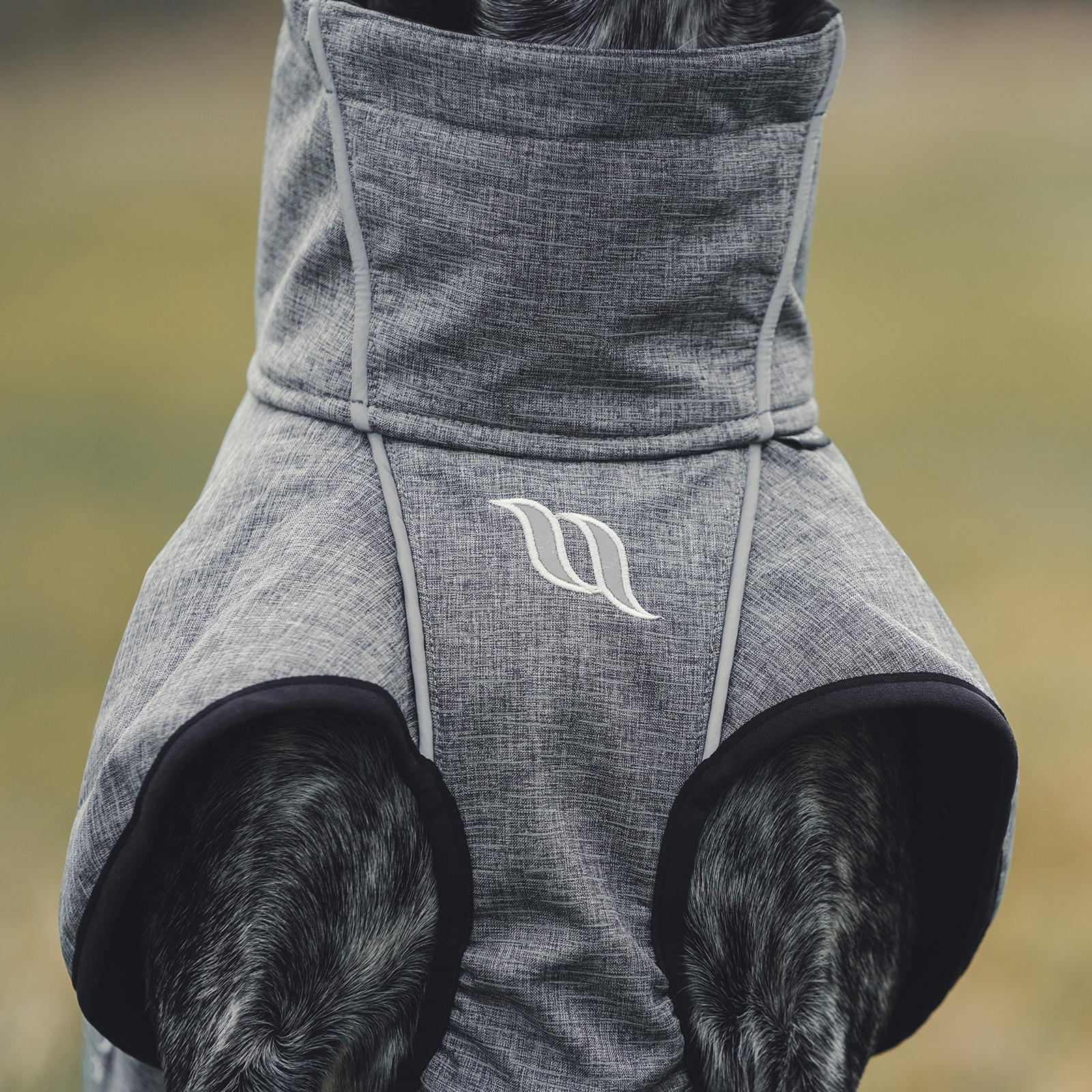 Back on Track Nella All-Round Dog Coat, 25-35cm