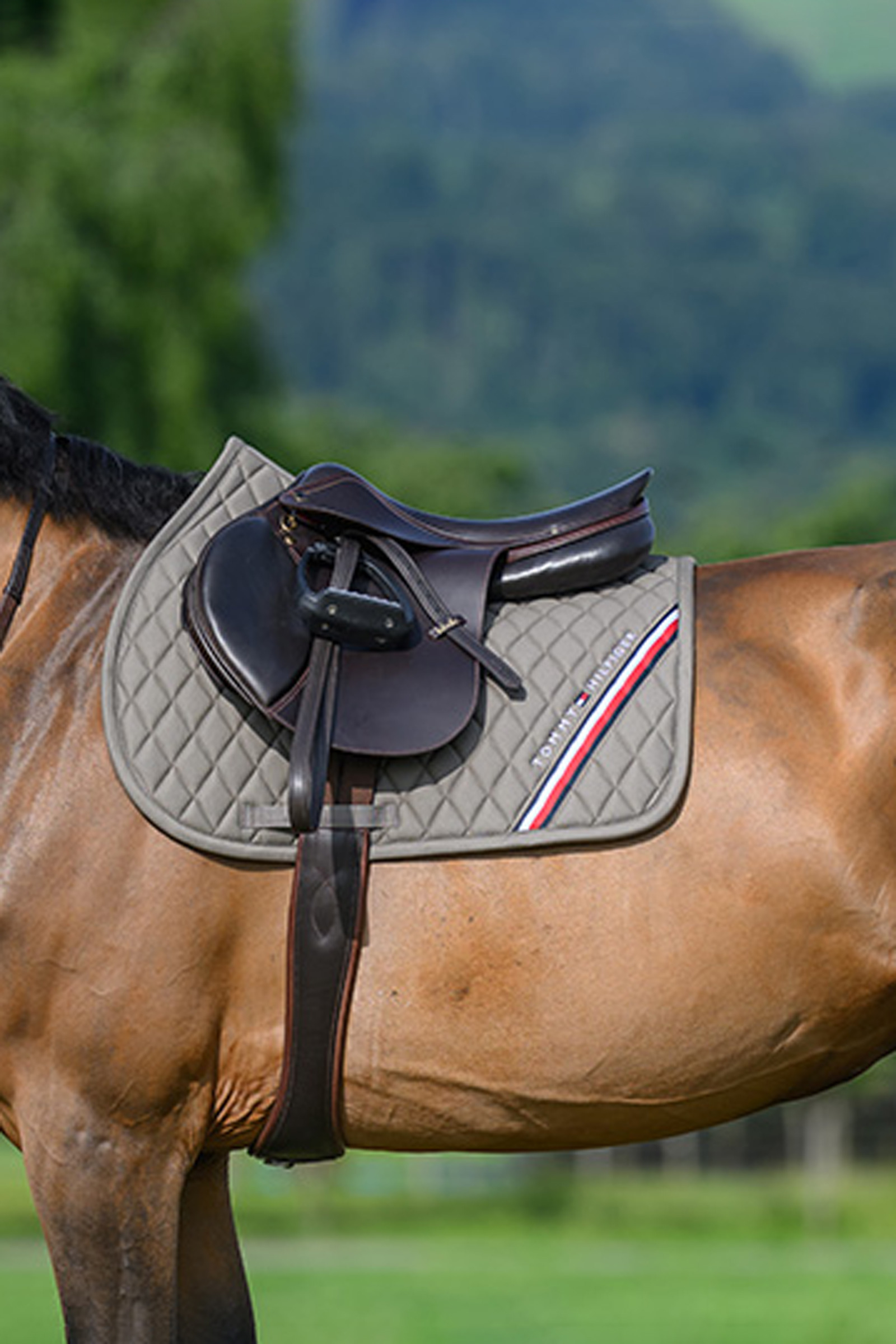 Ash Tommy Hilfiger Equestrian Stanford springunderlag