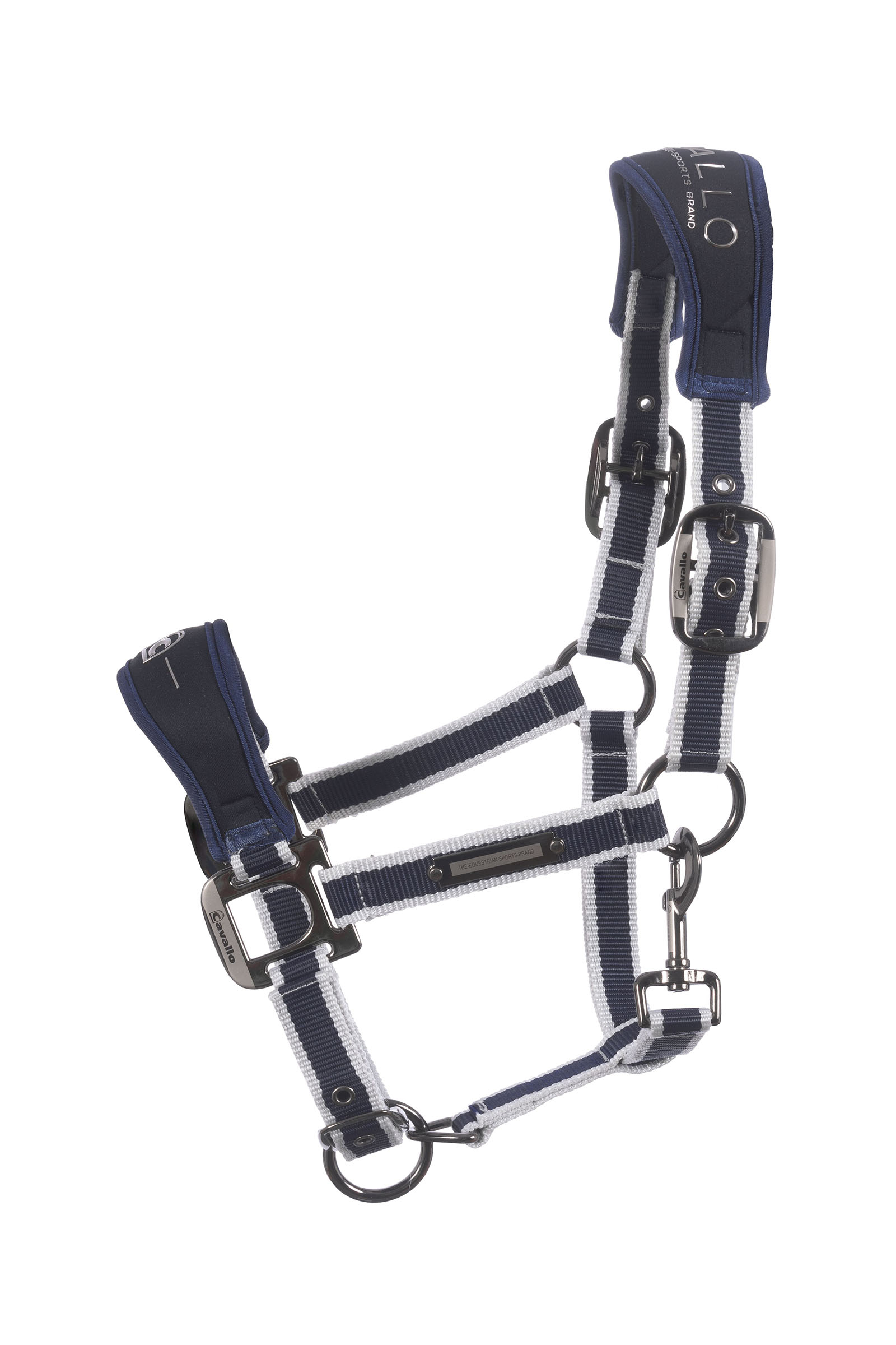 darkblue Cavallo CavalSoft Softshell grime