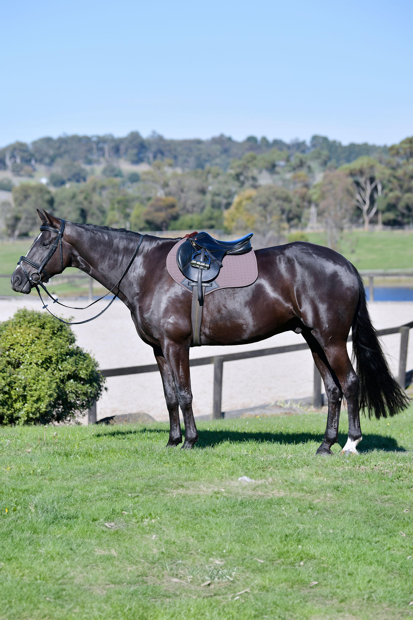 Weatherbeeta Prime Comfy Fleece springformet sadelunderlag