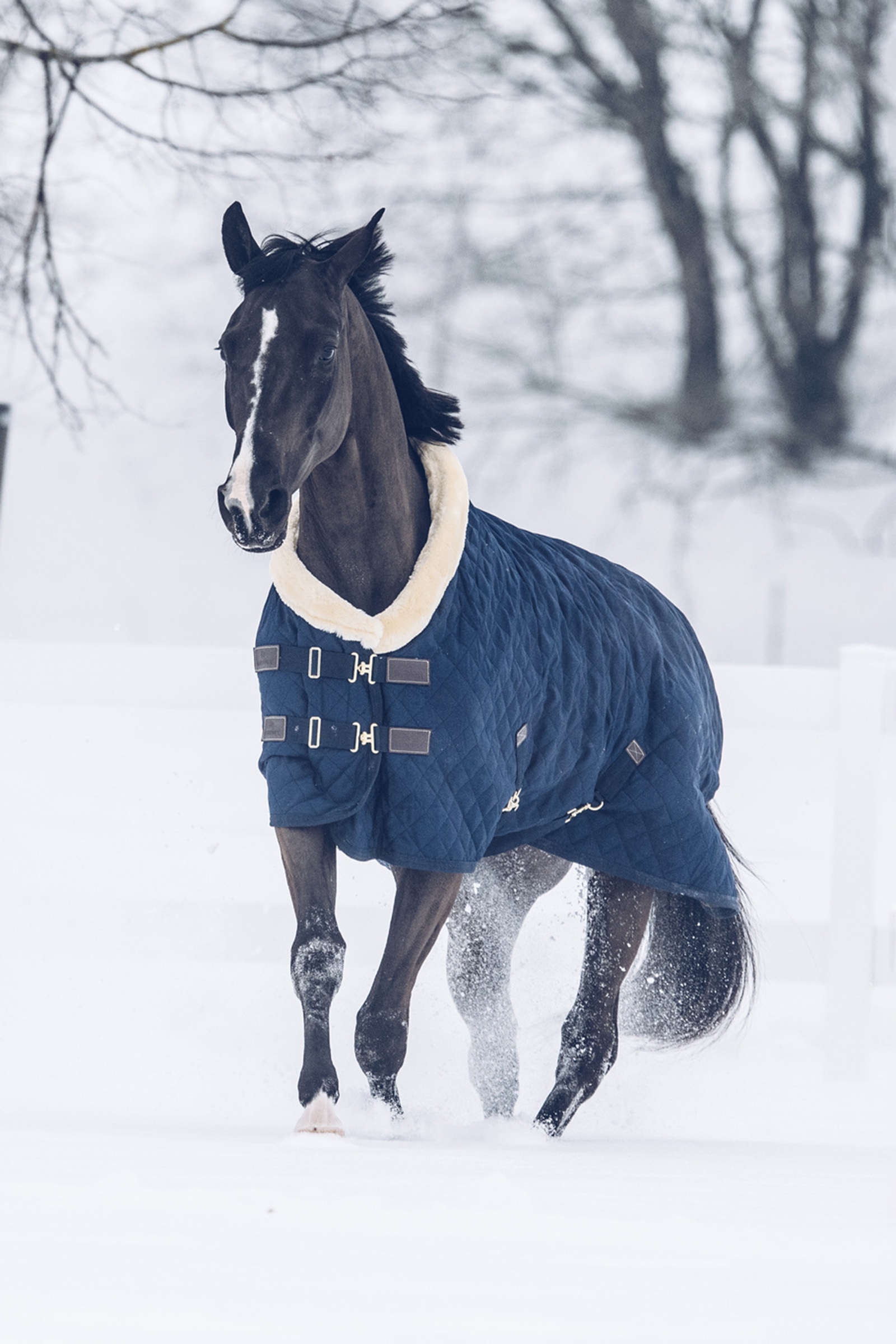 Kentucky Horsewear stævnedækken, 160 g.